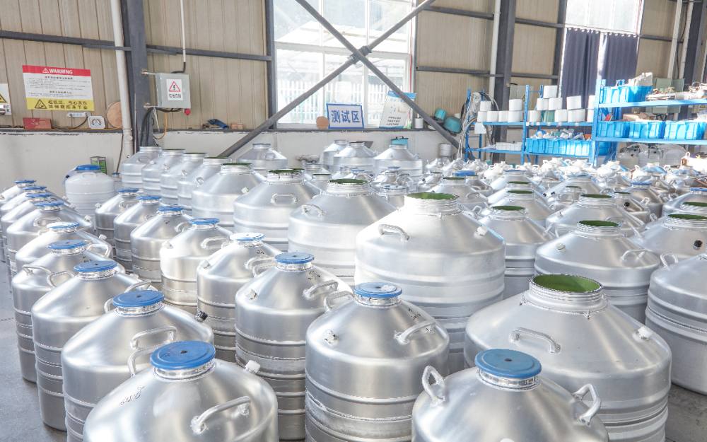 Manufacturing Facilities